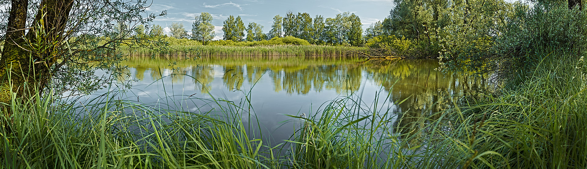 chiemsee-prienmuendung