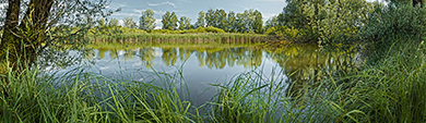 Chiemsee Prienmündung